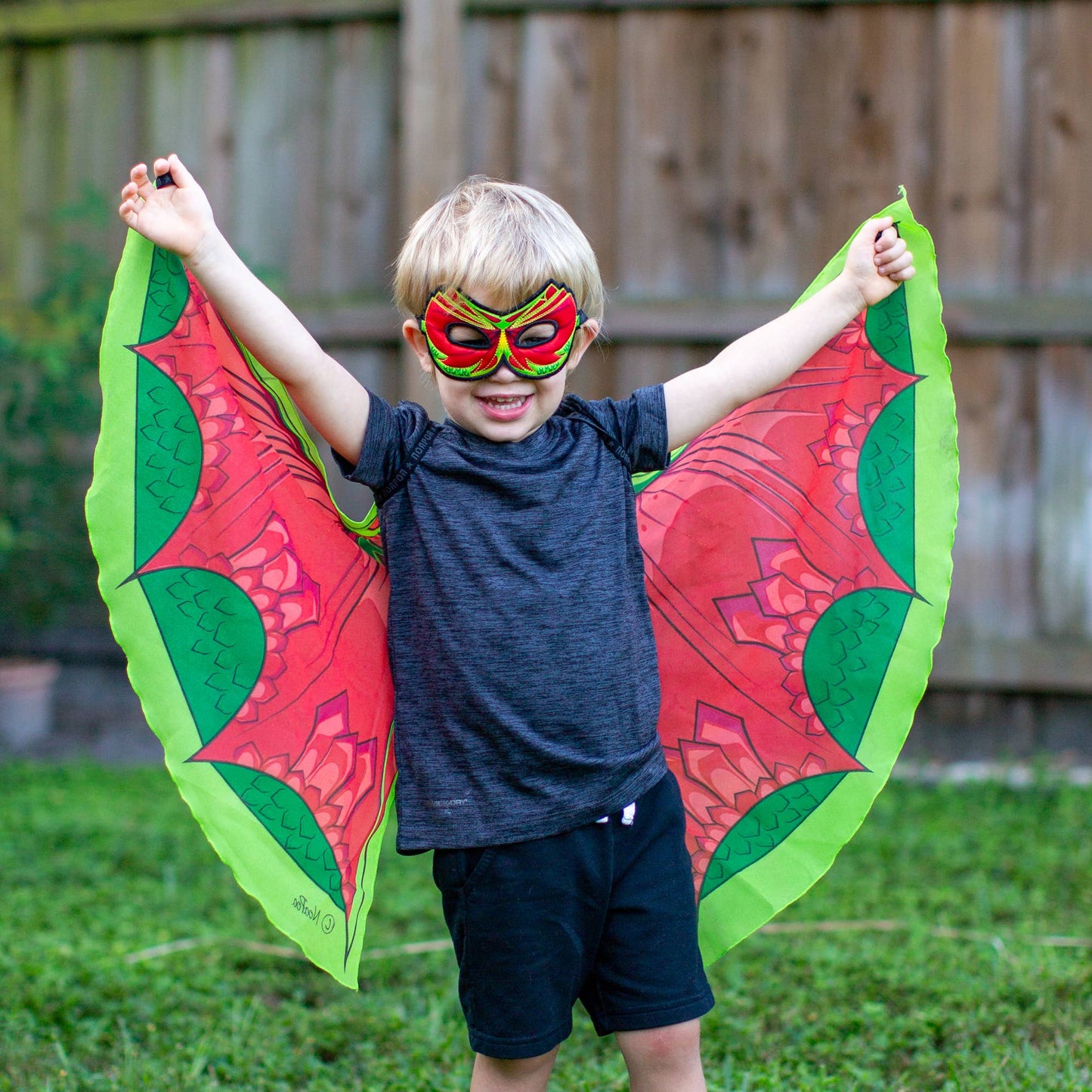 Dragon Wings + Mask
