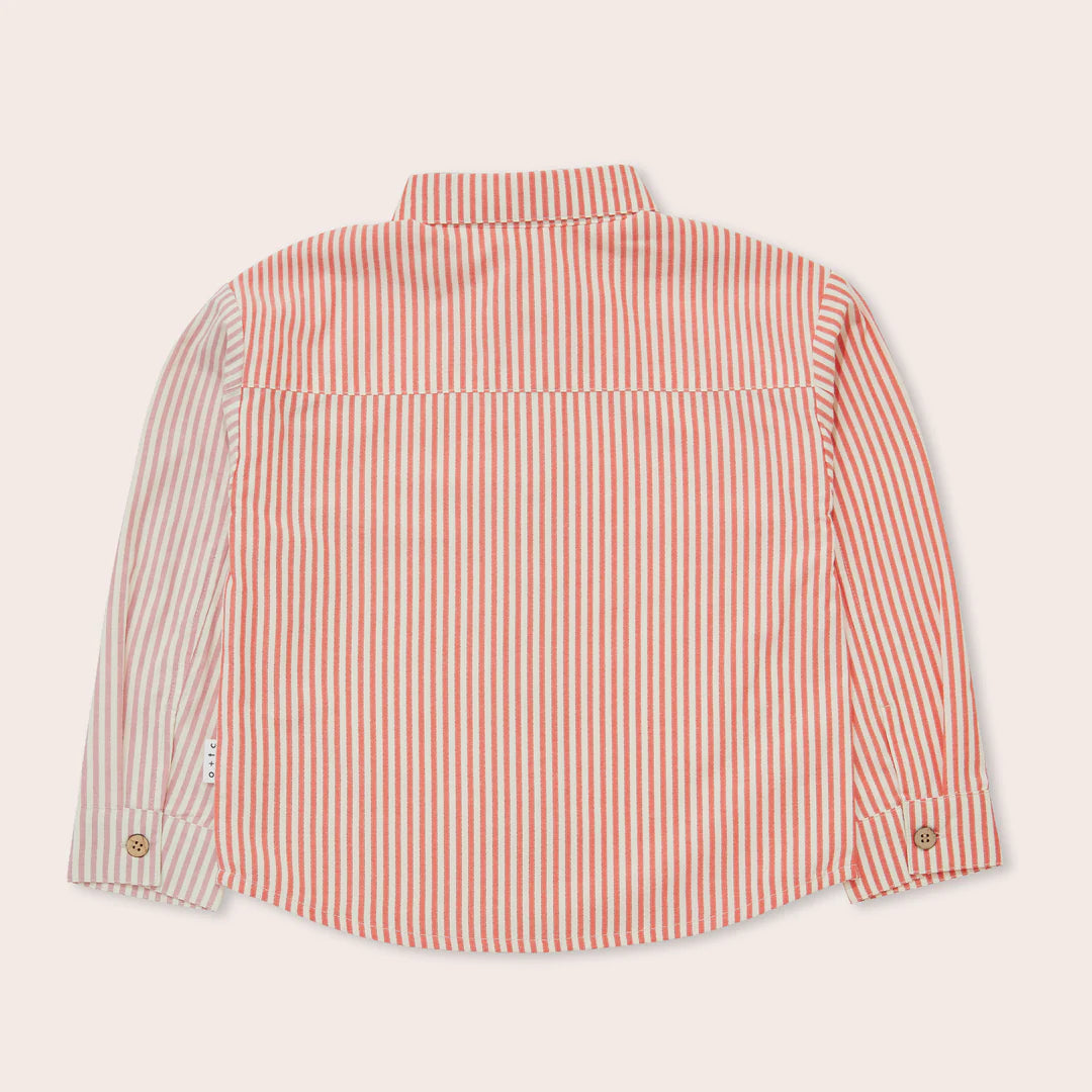 Hoya Stripe Button Down Long Sleeve Shirt
