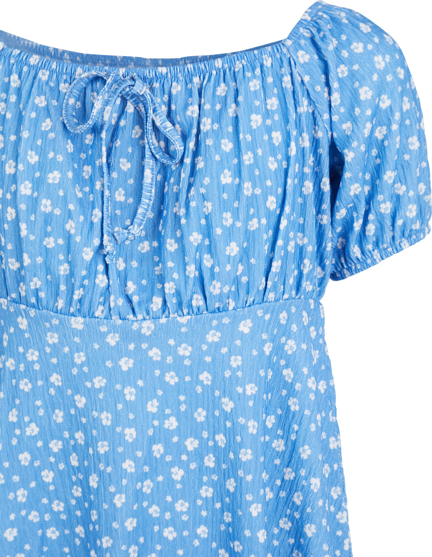 Blueberry Fields Dress in Print - Lucky Last! (Size 14)