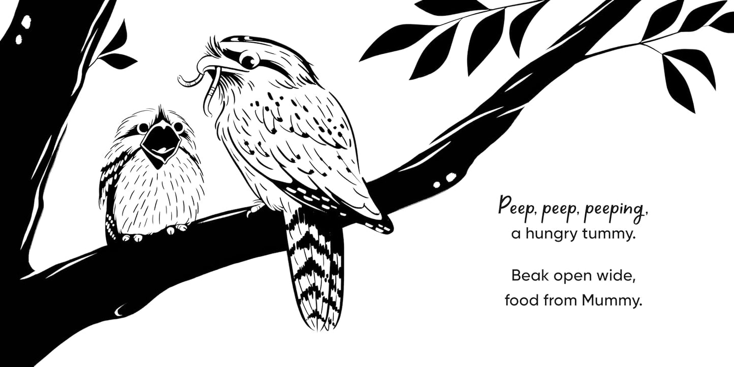 Aussie Bird Babies - A High Contrast Board Book