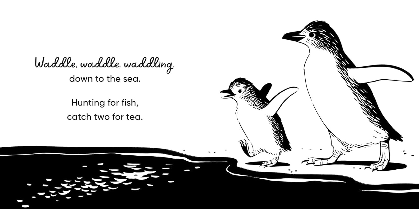 Aussie Bird Babies - A High Contrast Board Book