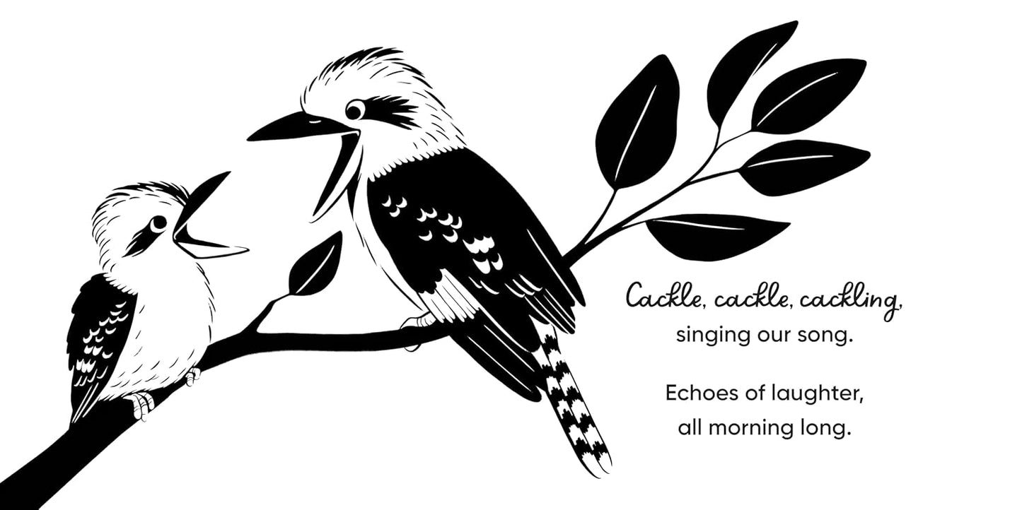 Aussie Bird Babies - A High Contrast Board Book