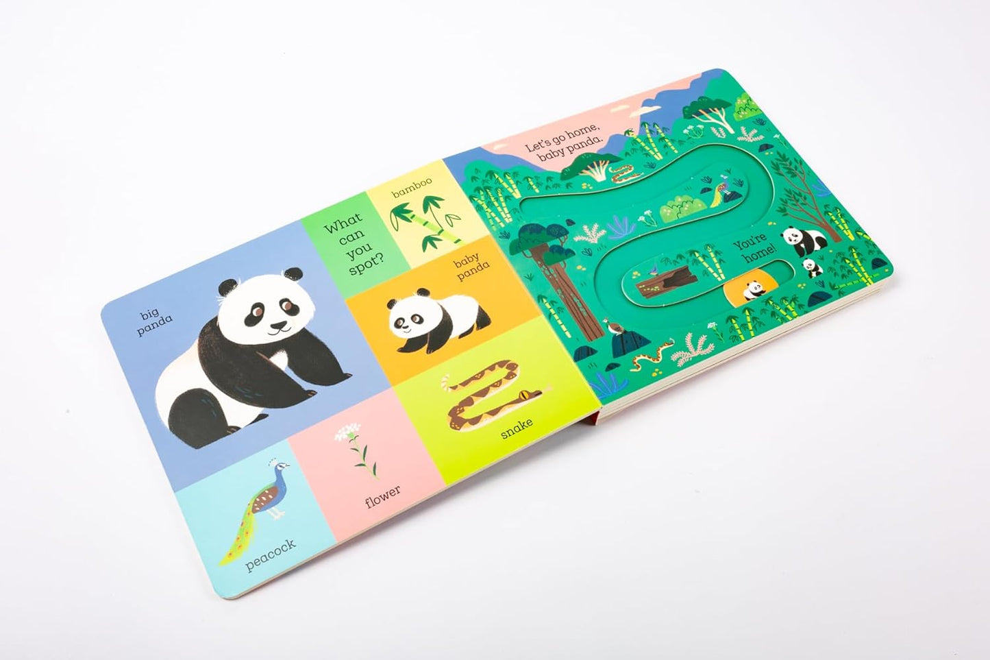 Baby Panda Let's Go Home