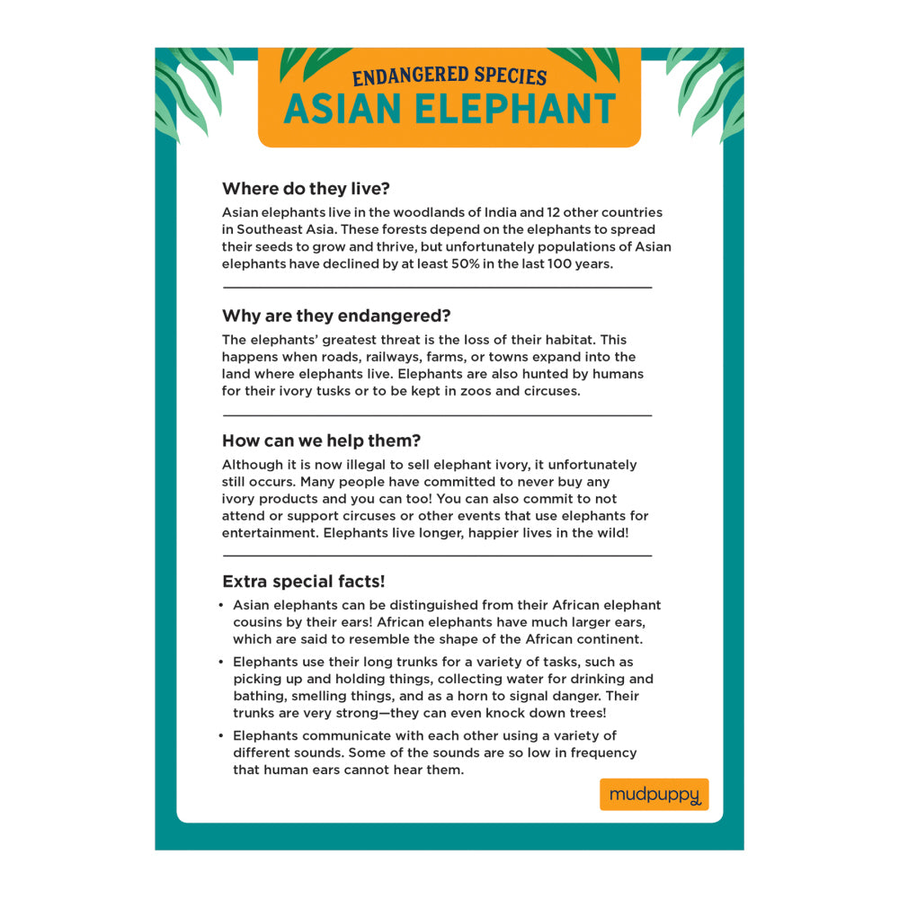 Mudpuppy 300 Pc Puzzle – Asian Elephants