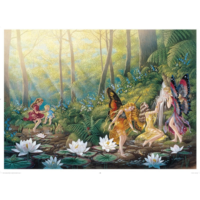 A Visit To Fairyland