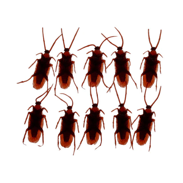Classic Jokes - Cockroaches/Box of 10