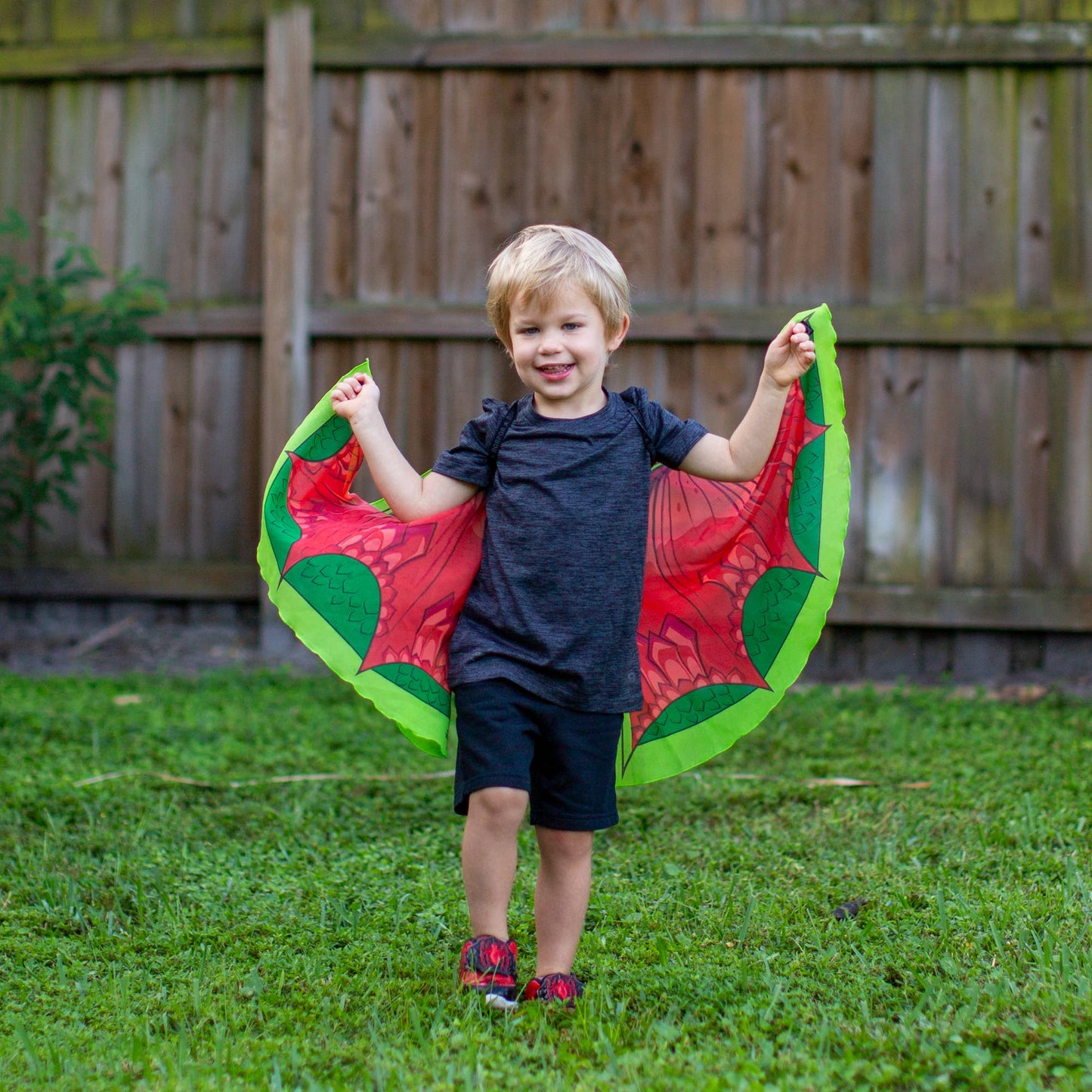 Dragon Wings + Mask