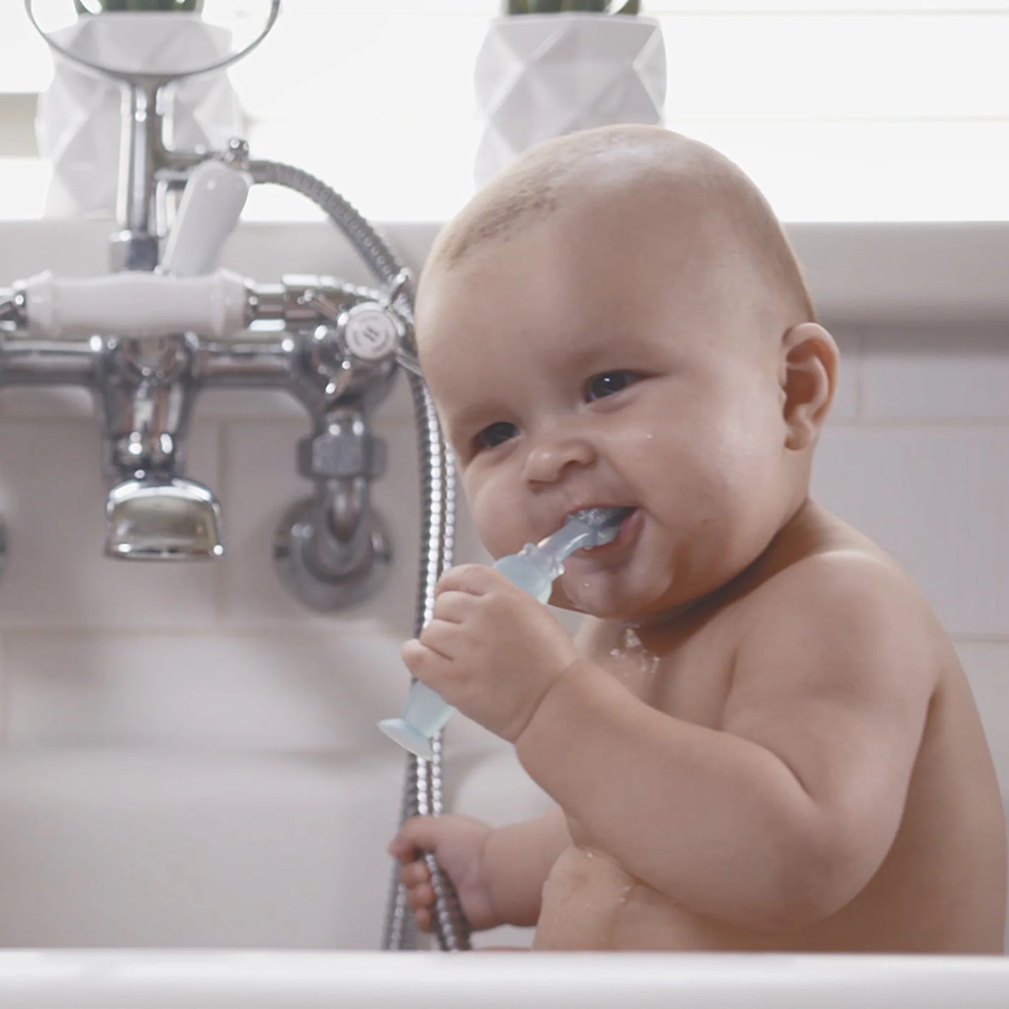 Haakaa 360 Silicone Toothbrush - Assorted Colours