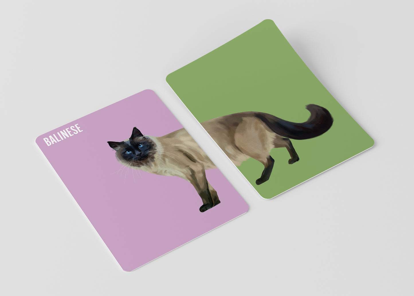 Heads & Tails: Cat Memory Cards