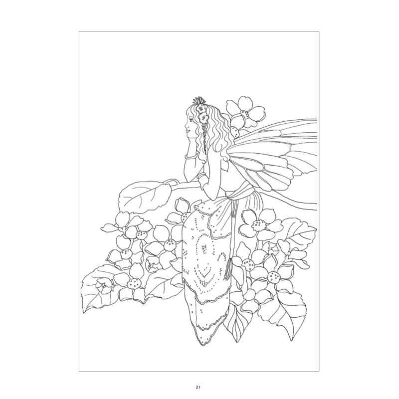 Shirley Barber's Fairy Folk Activity Book