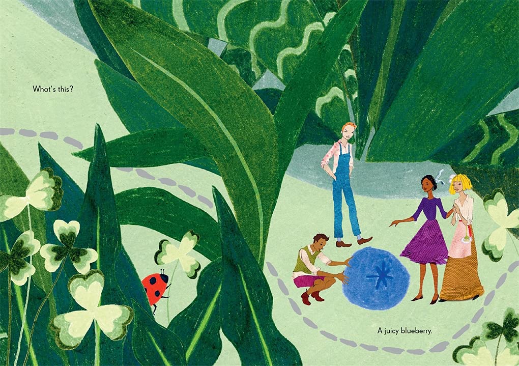 The Tiny Explorers