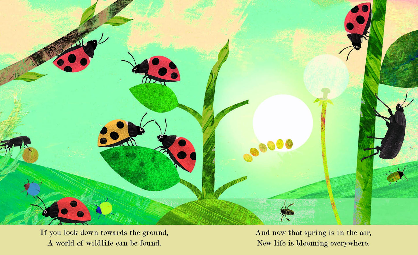 Bugs