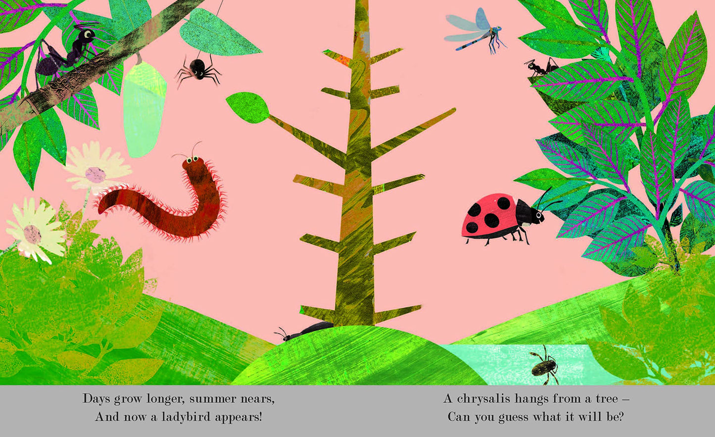 Bugs