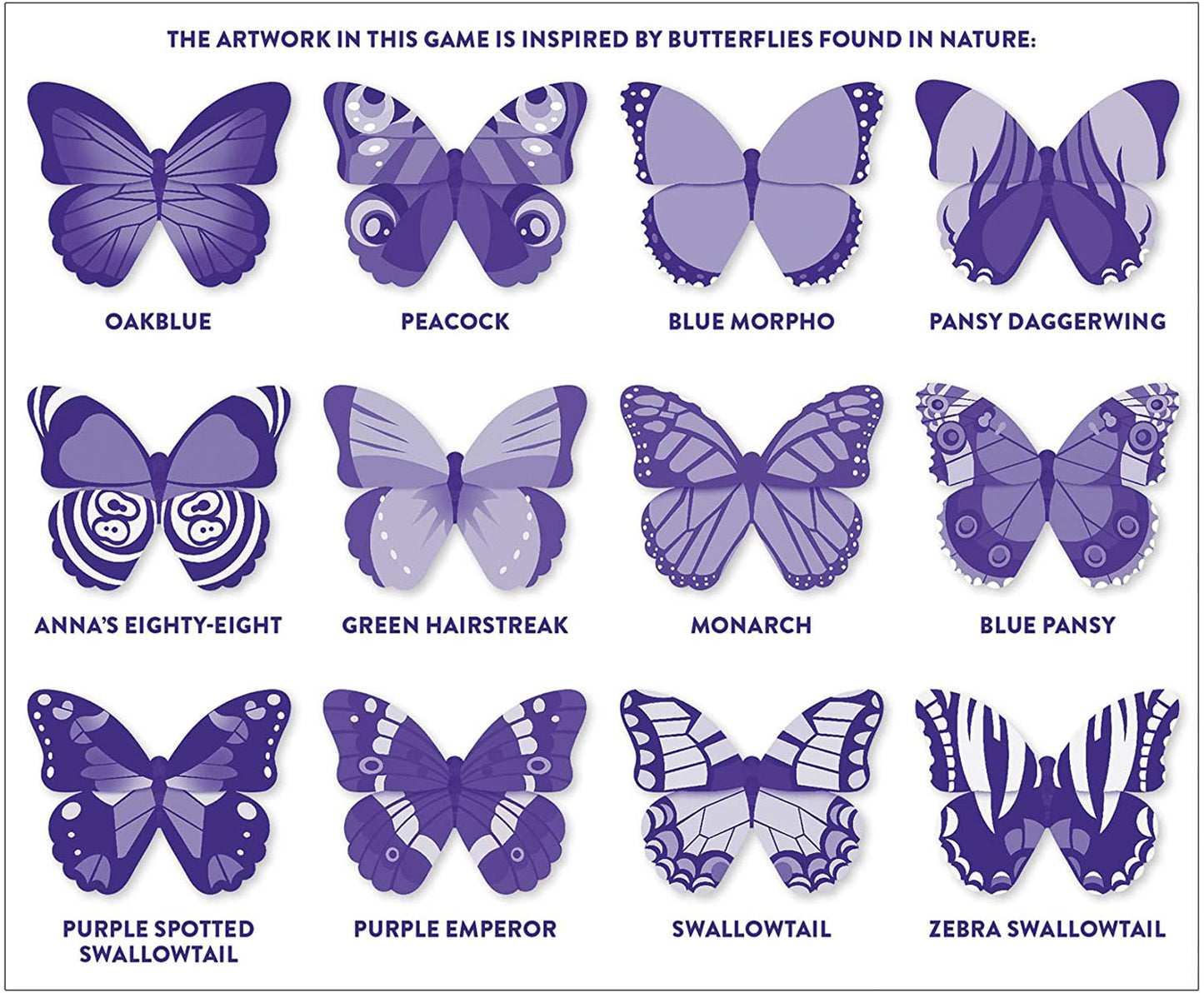 Butterfly Shaped Memory