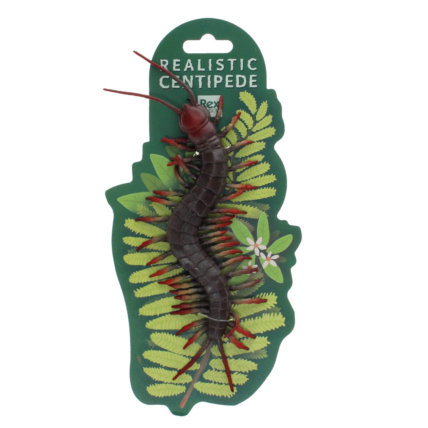 Realistic Toy - Centipede
