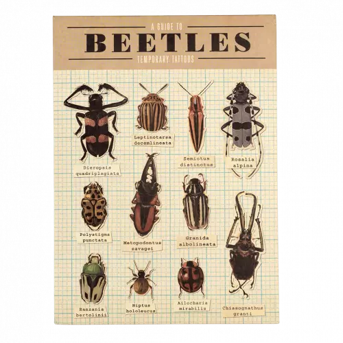 Beetles Temporary Tattoos