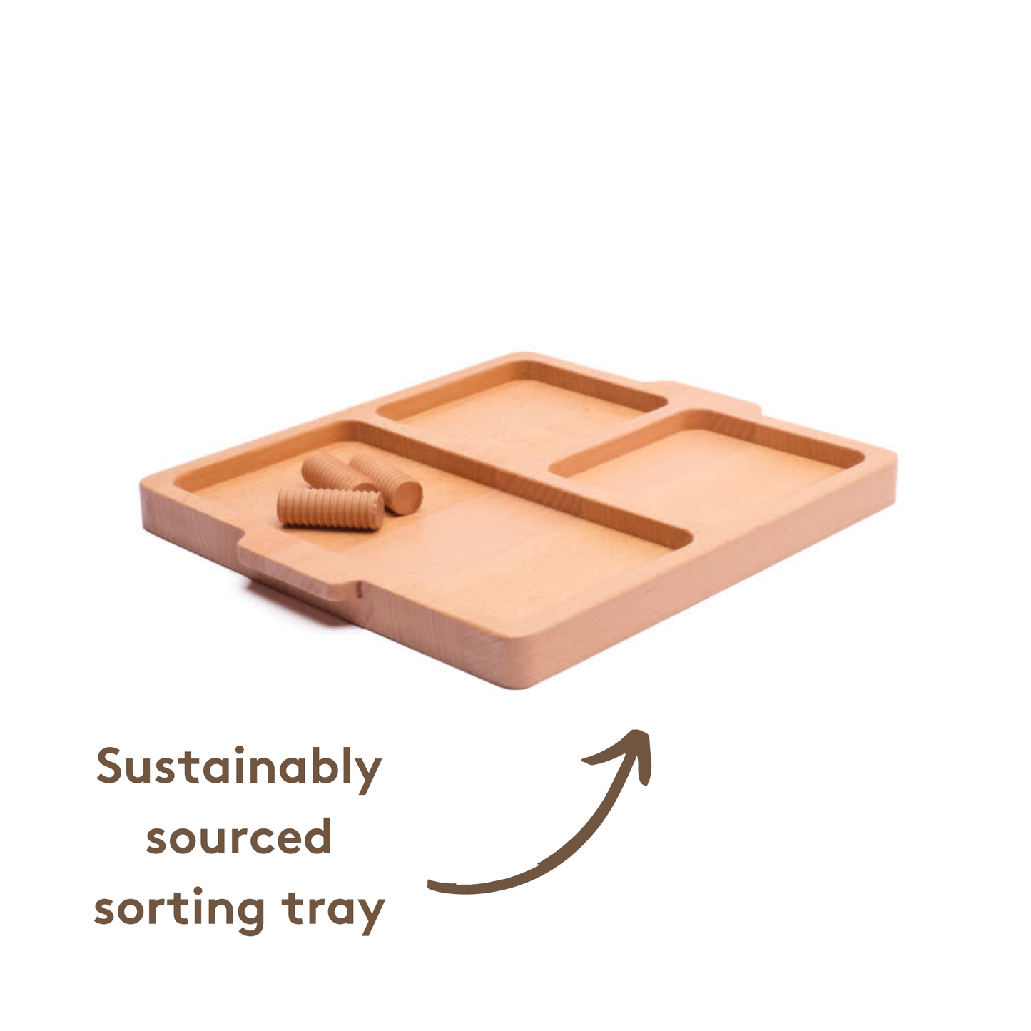 Montessori Sorting Set for Pre-Schoolers