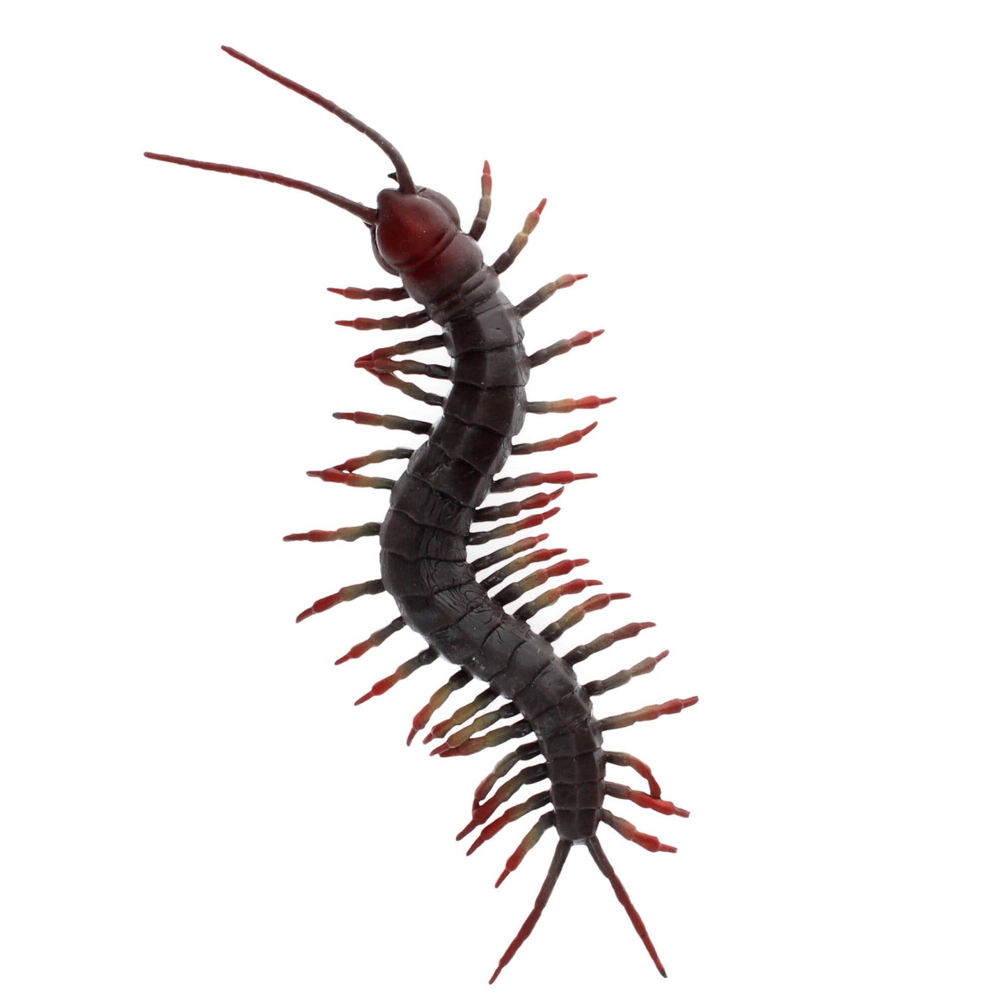 Realistic Toy - Centipede