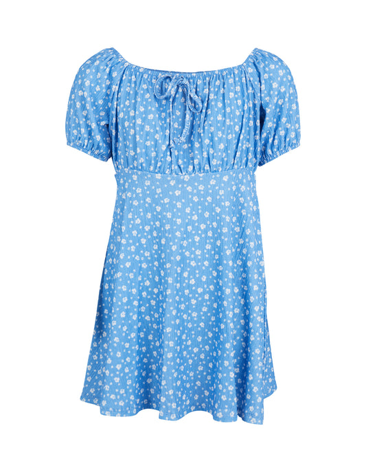 Blueberry Fields Dress in Print - Lucky Last! (Size 14)
