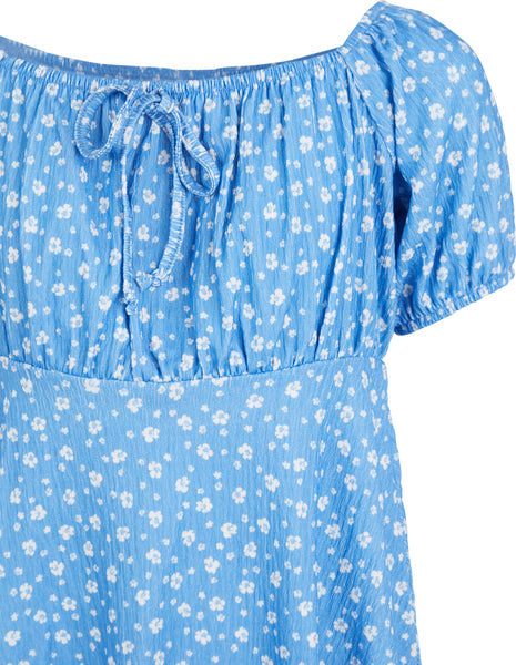 Blueberry Fields Dress in Print
