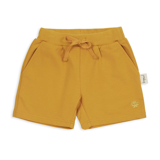 Animal Kingdom Shorts