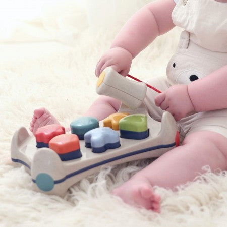 Bio Sorter Play Bench
