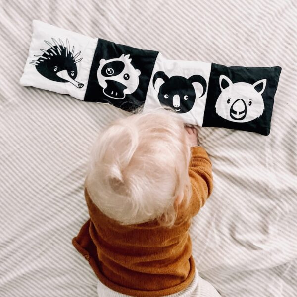 In the Bush – Baby’s first soft book!