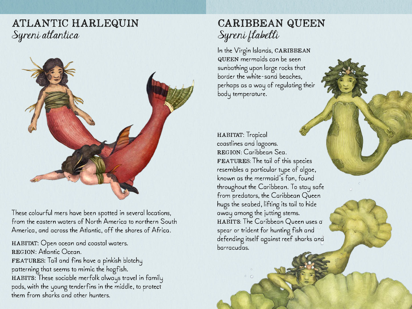 Match the Mermaids - A Memory Game