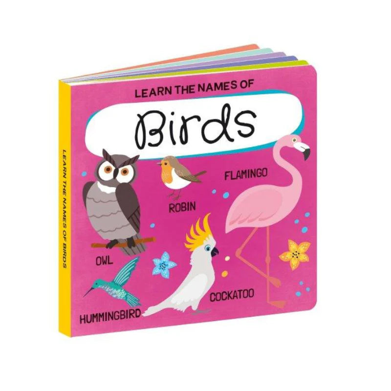 Sassi 3D Puzzle and Book Set - World of Birds, 40 pcs