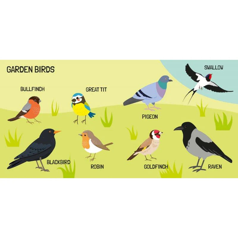 Sassi 3D Puzzle and Book Set - World of Birds, 40 pcs