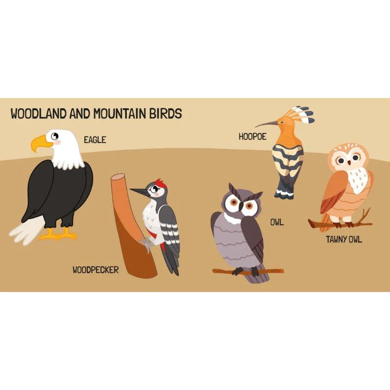 Sassi 3D Puzzle and Book Set - World of Birds, 40 pcs