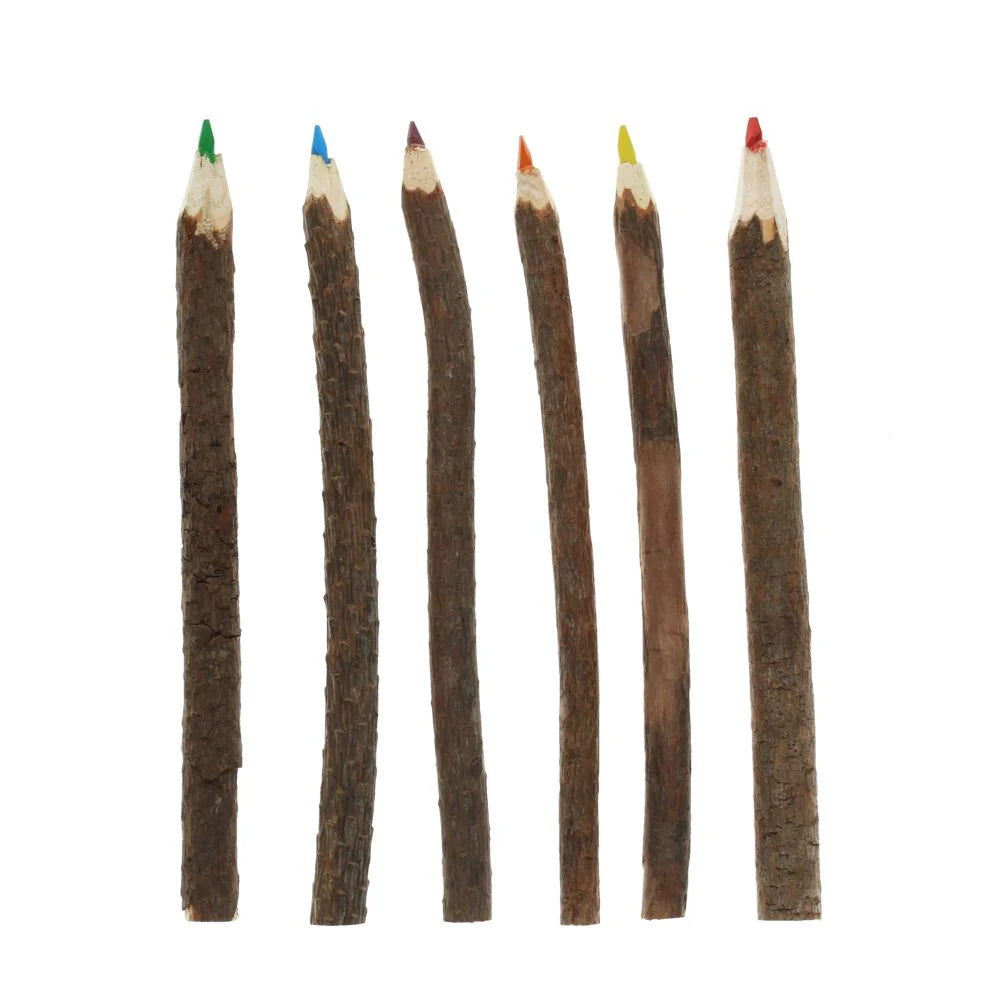 Twig colouring pencils -Set of 6