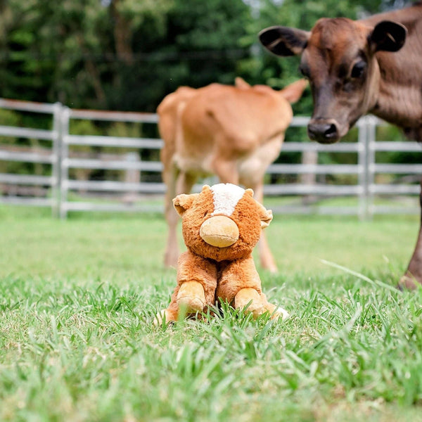 Billy Cow Soft Toy