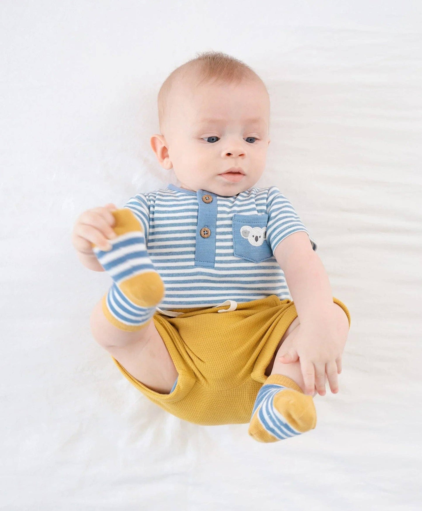 Organic Cotton Short Sleeve Bodysuit - Koala & Blue Stripes