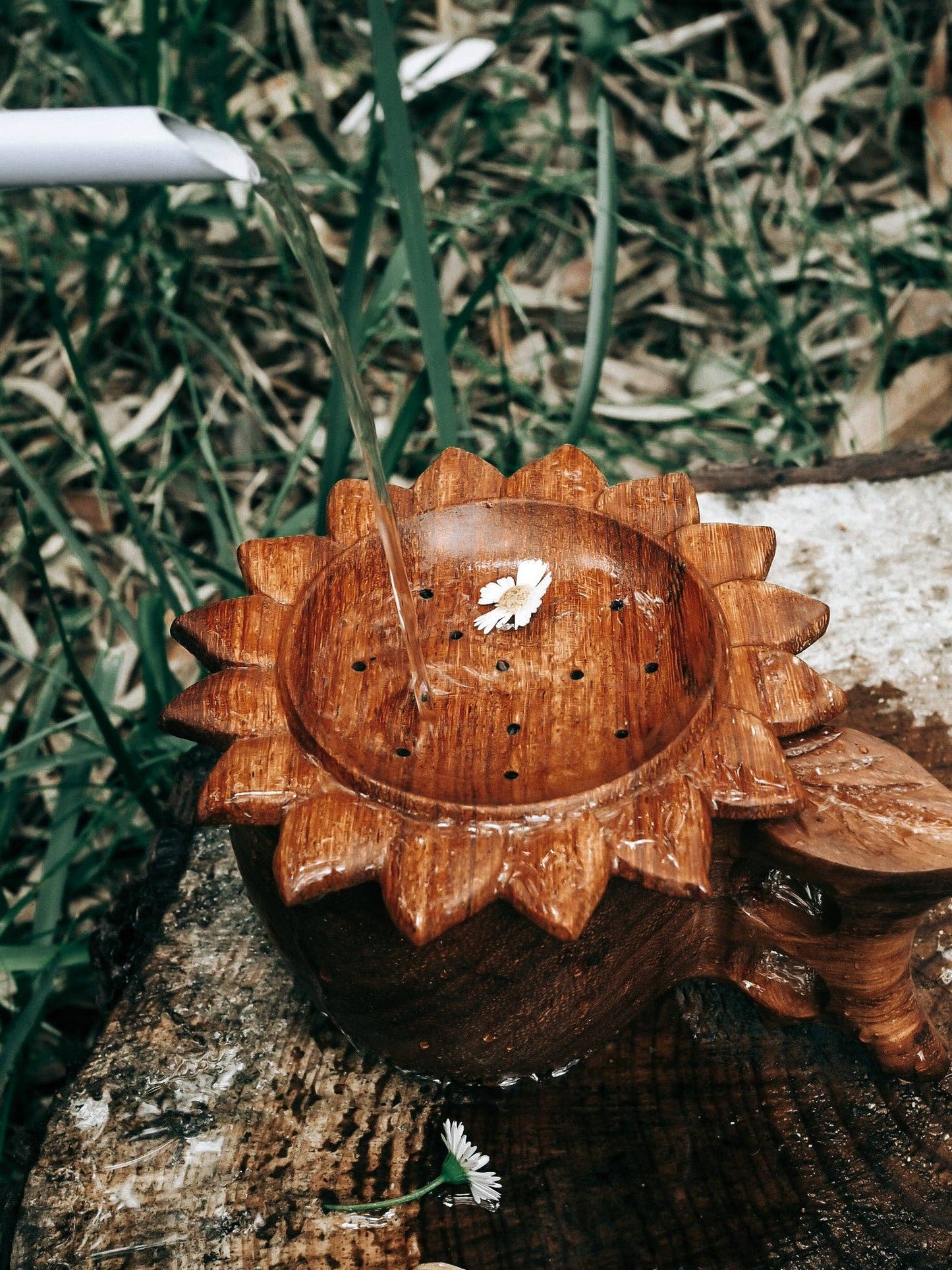 Sun Strainer