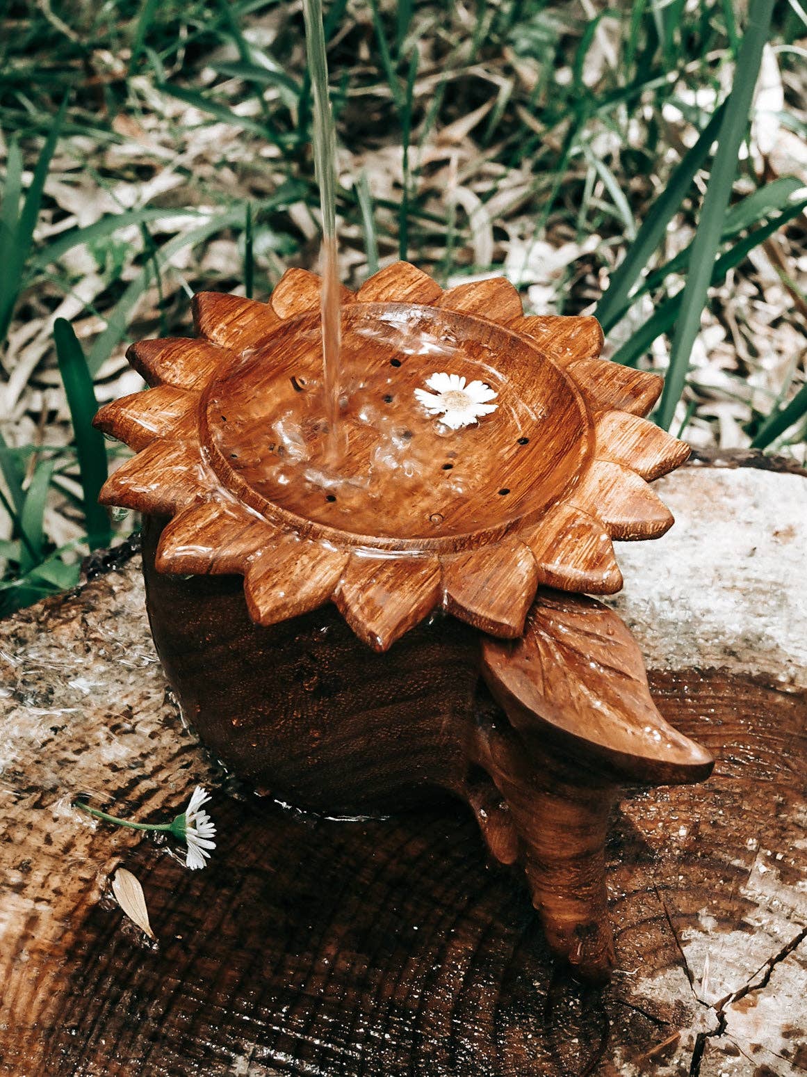 Sun Strainer