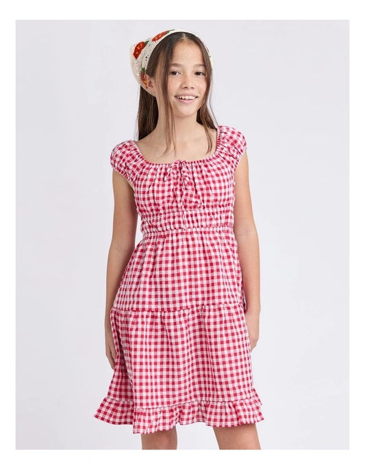 Elsa Gingham Dress in Red (Size 8-14)