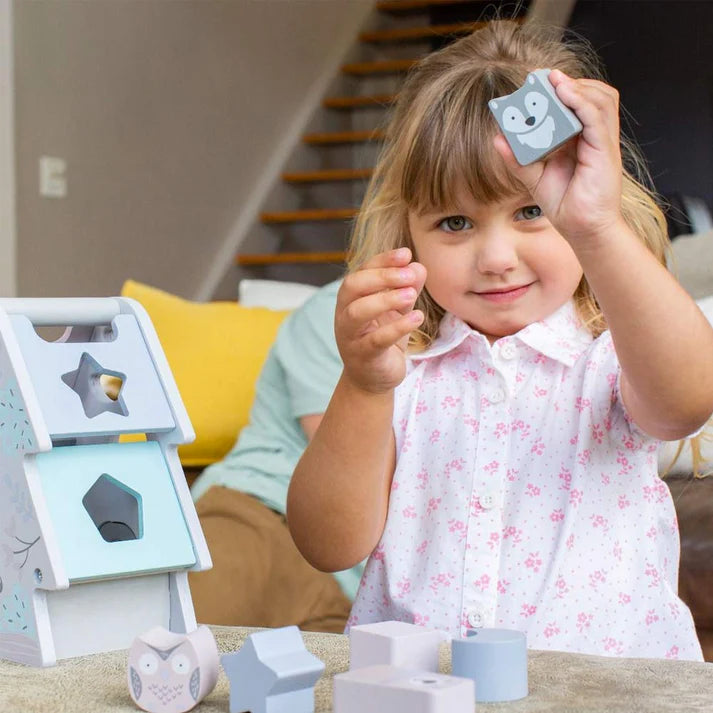 Tree Shape Sorter