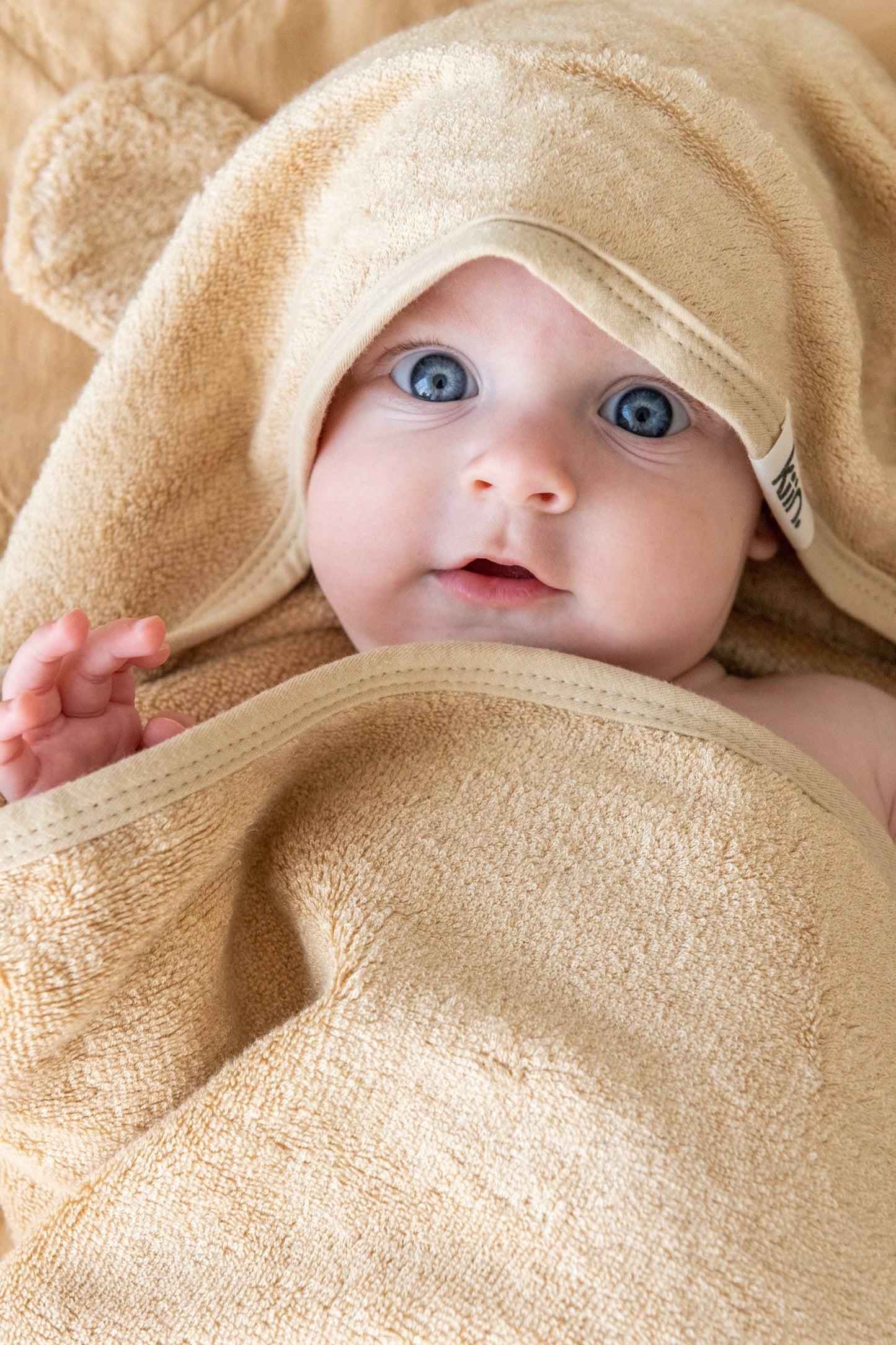 Hooded Towel - Assorted