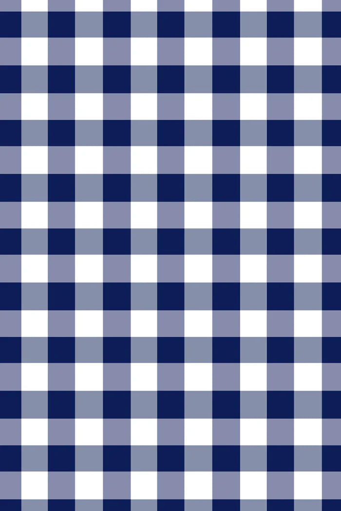Gingham Dress (Size 8-12)
