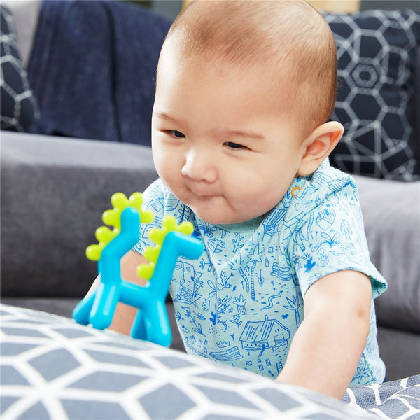 GROWL Silicon Teether - Dragon