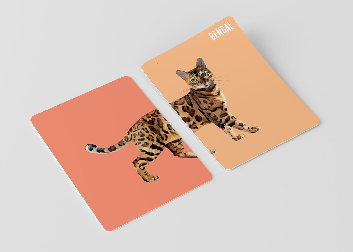 Heads & Tails: Cat Memory Cards