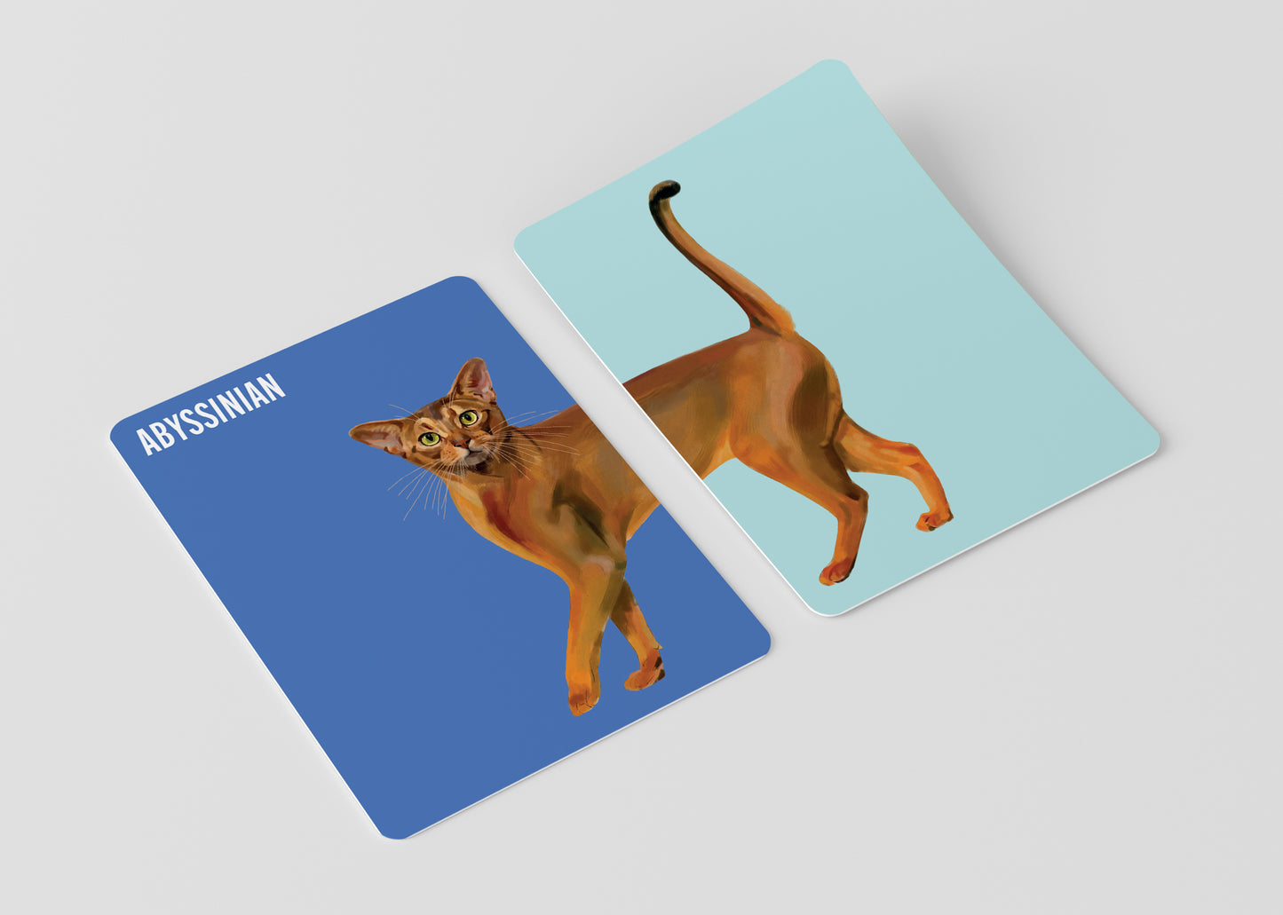 Heads & Tails: Cat Memory Cards