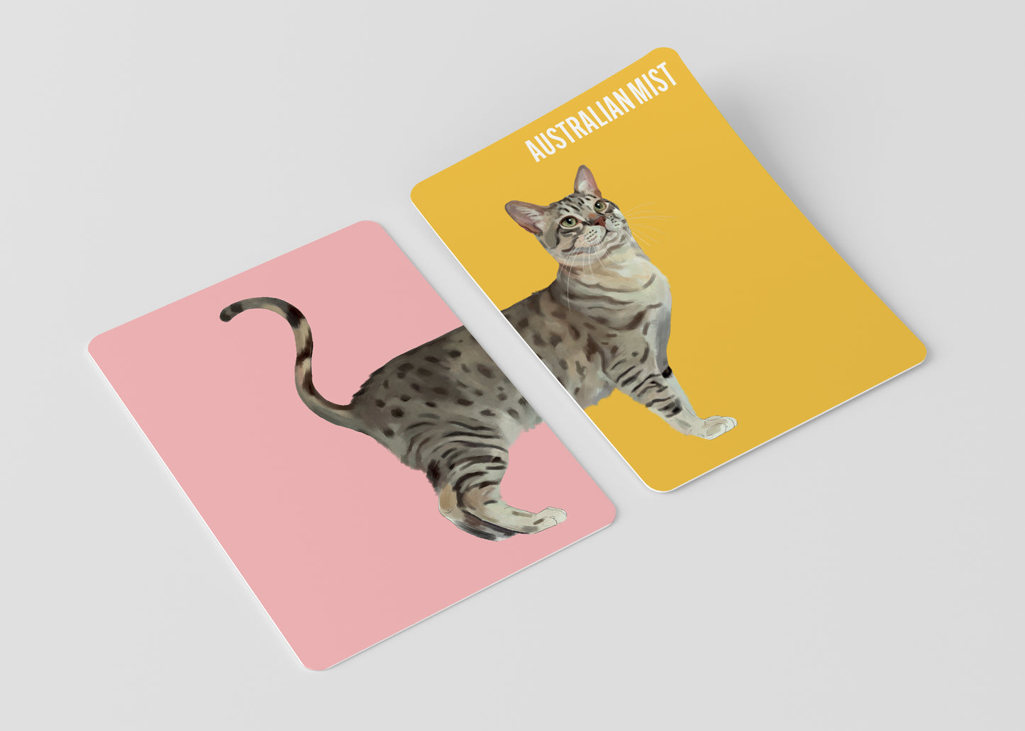 Heads & Tails: Cat Memory Cards
