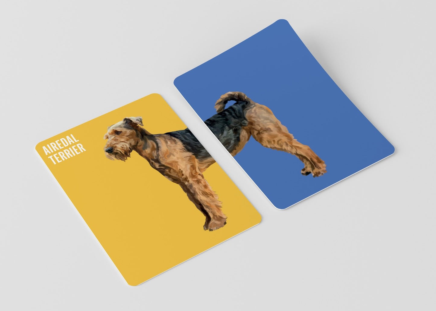 Heads & Tails: Dog Memory Cards