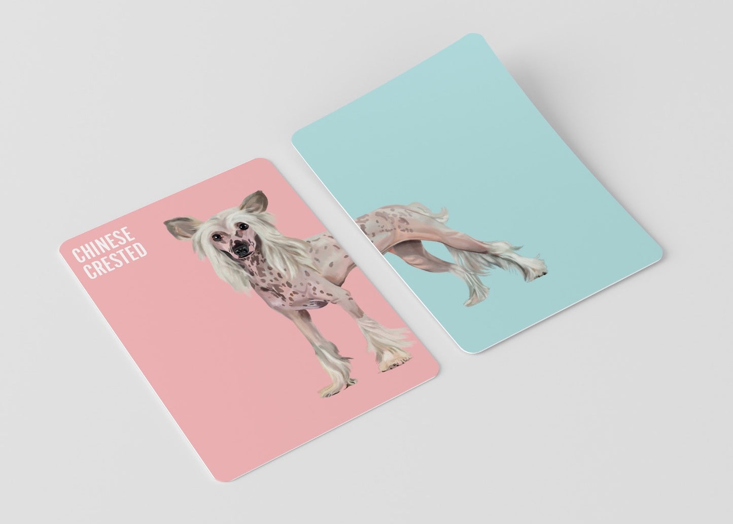 Heads & Tails: Dog Memory Cards