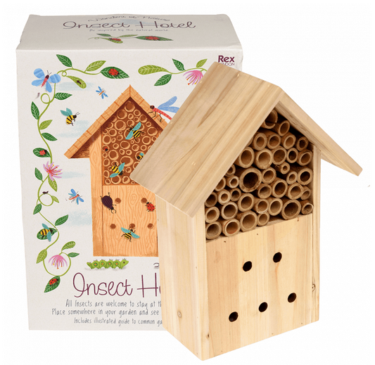 Insect Hotel - Wonders of Nature