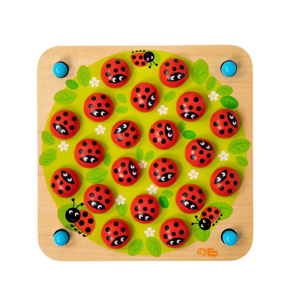 Ladybug's Garden Memory Game