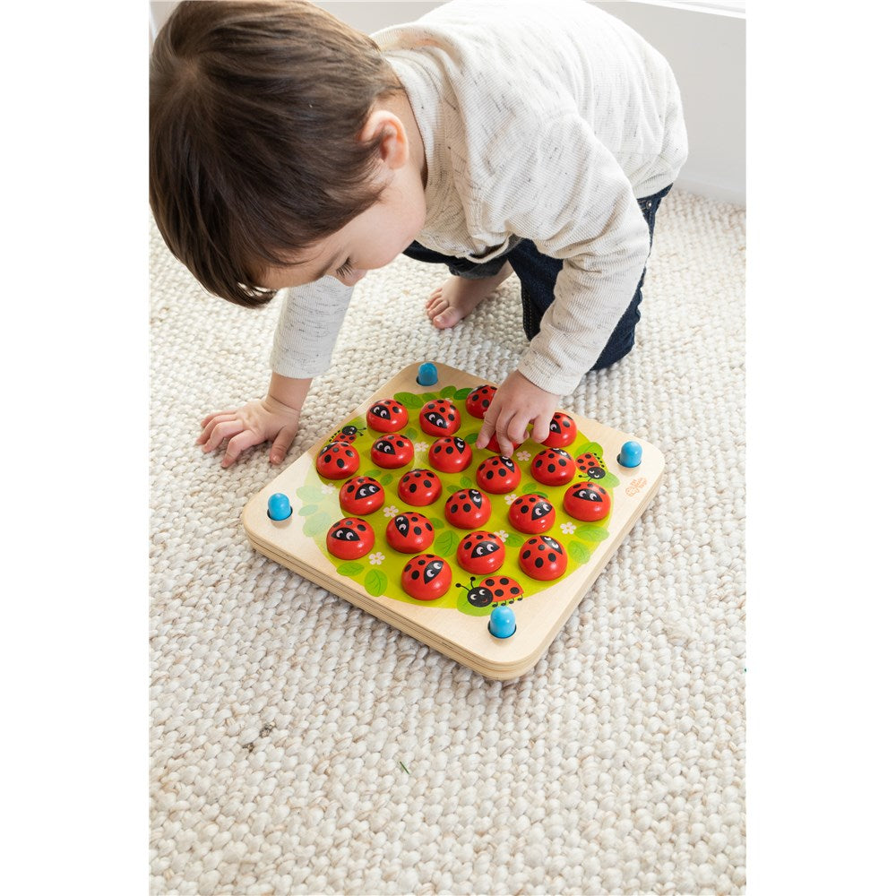 Ladybug's Garden Memory Game