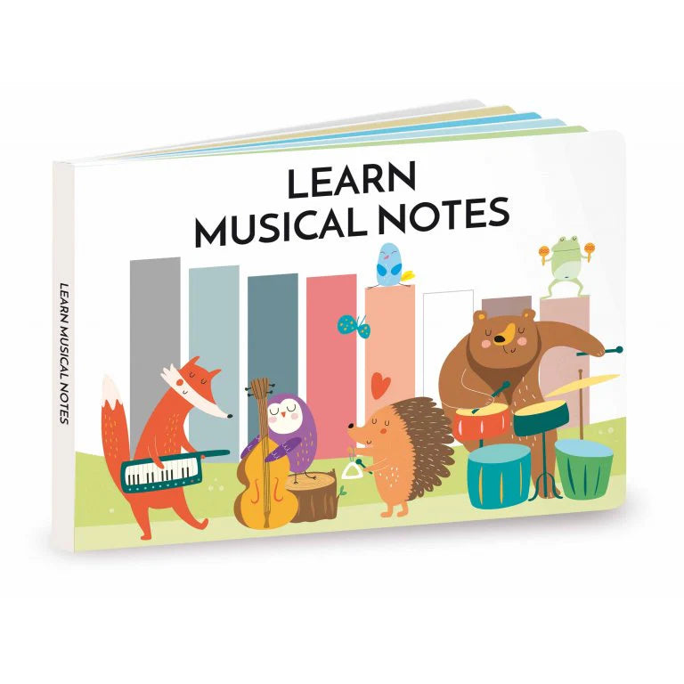 Learn and Play The Xylophone